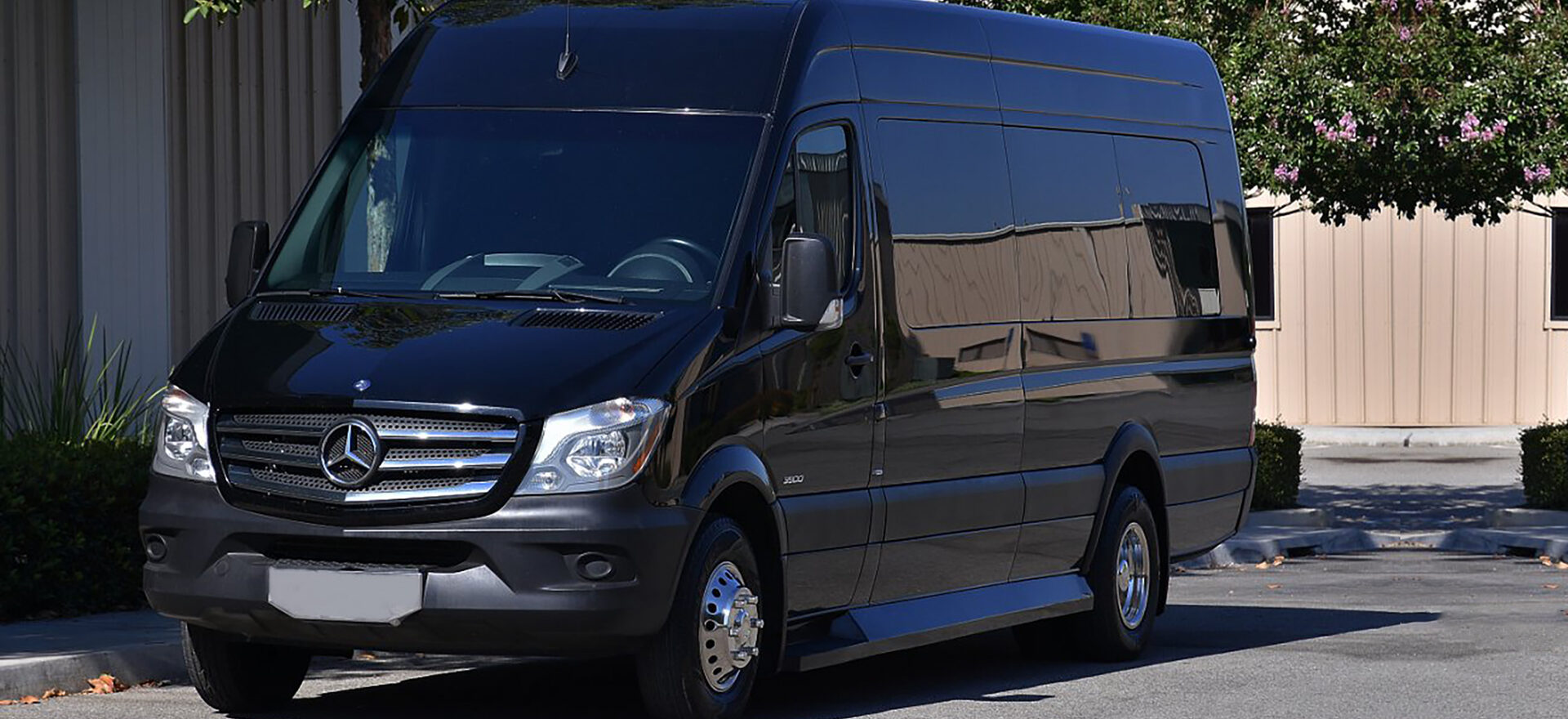 Mercedes Sprinter Limo 7